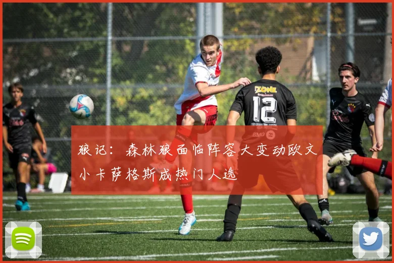 狼记：森林狼面临阵容大变动欧文小卡萨格斯成热门人选